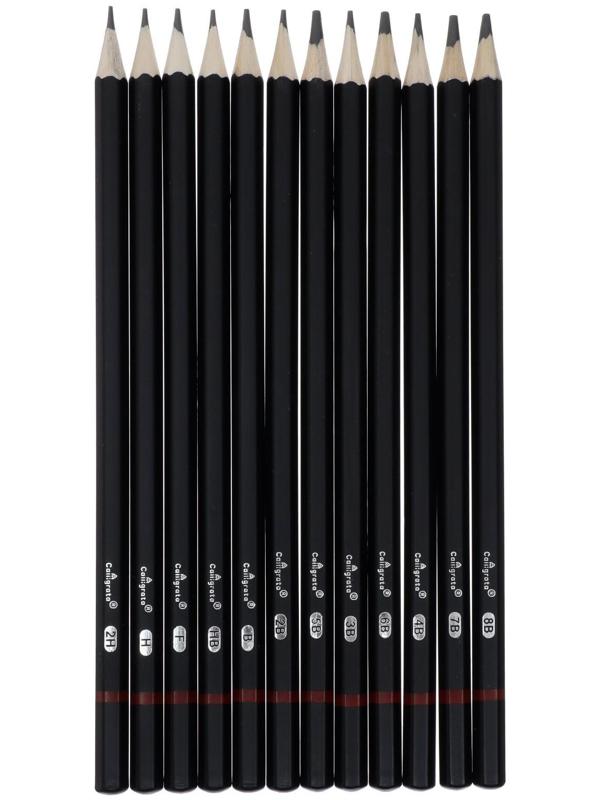 Набор карандашей чернографитных, 12 штук, твёрдость 2Н - 8В, гранённые, заточенные, в картонной коробке