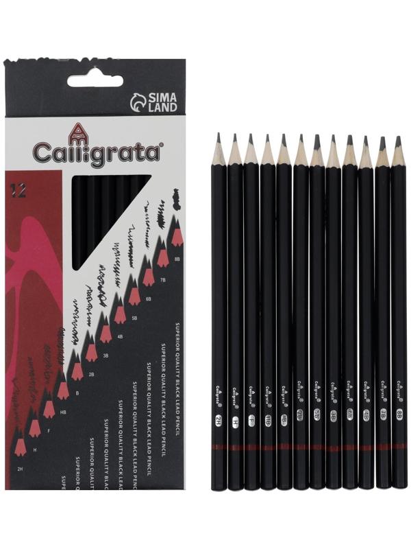 Набор карандашей чернографитных, 12 штук, твёрдость 2Н - 8В, гранённые, заточенные, в картонной коробке