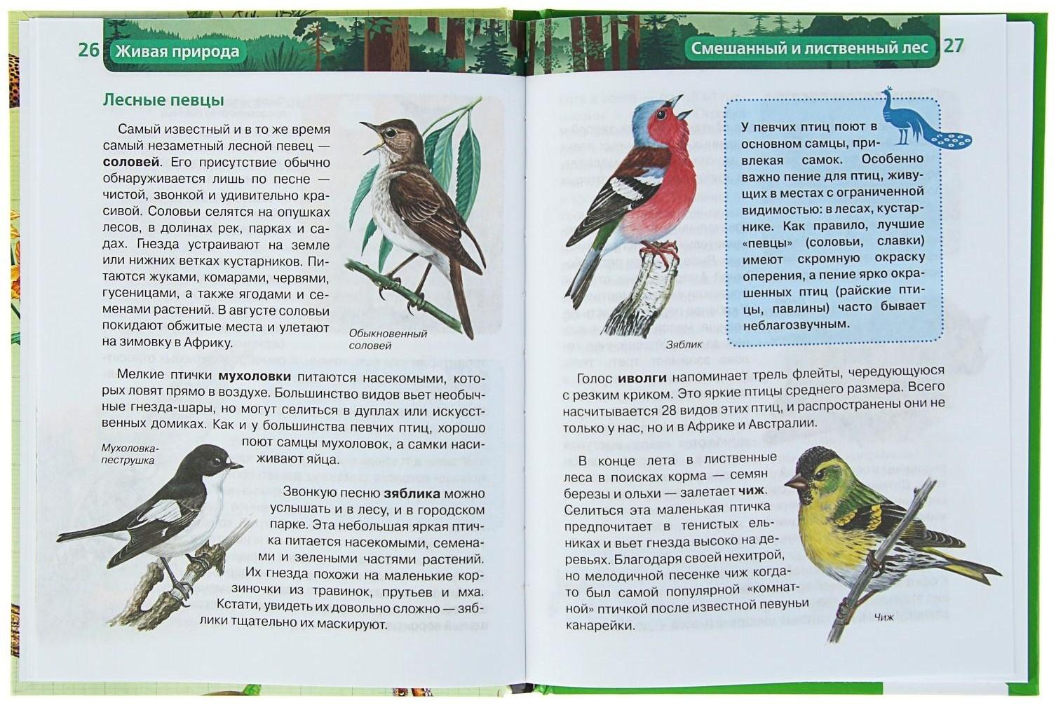 Детская энциклопедия «Живая природа»