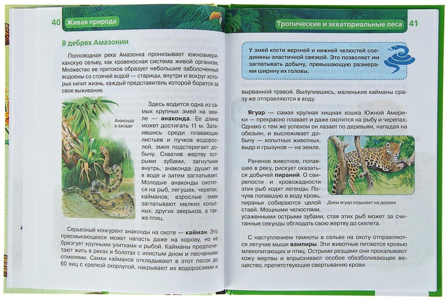 Детская энциклопедия «Живая природа»