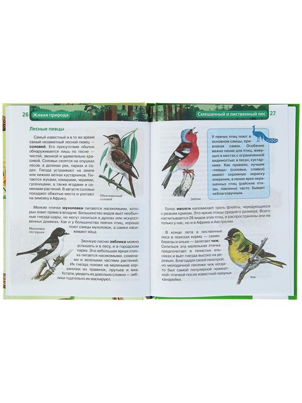 Детская энциклопедия «Живая природа»