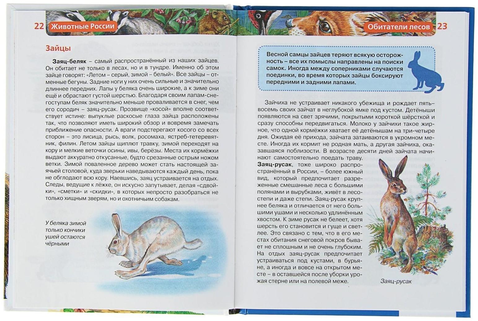 Детская энциклопедия «Животные России»
