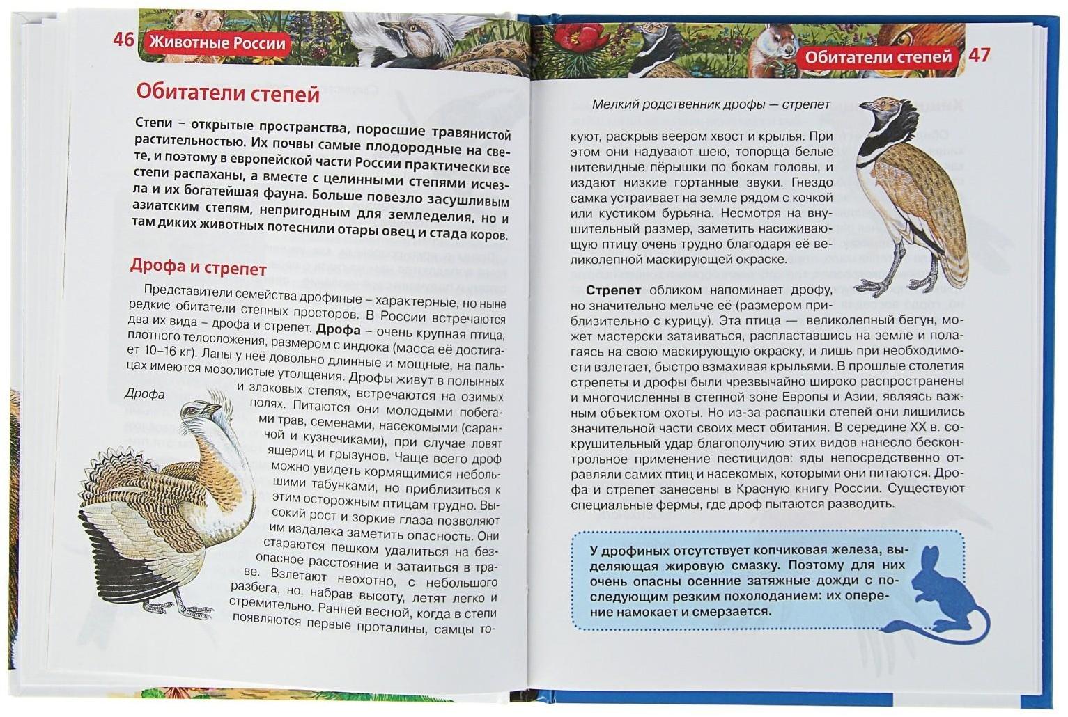 Детская энциклопедия «Животные России»