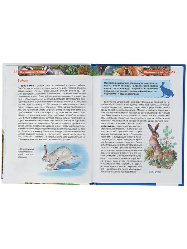 Детская энциклопедия «Животные России»