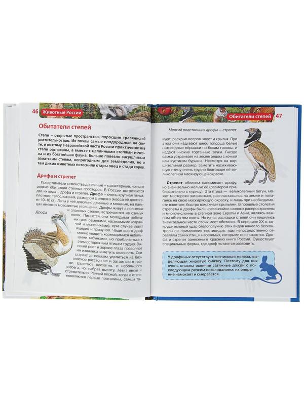 Детская энциклопедия «Животные России»