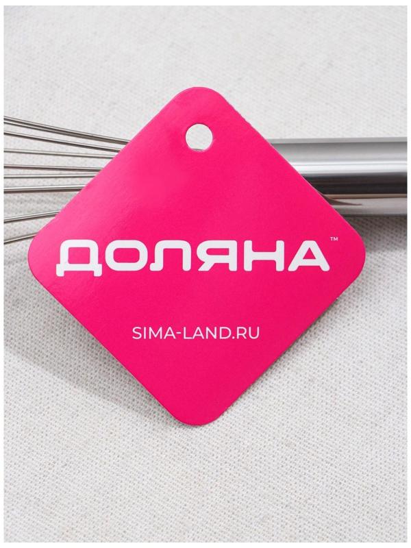 Венчик для взбивания Доляна «Стандарт», 30 см, цвет серебристый