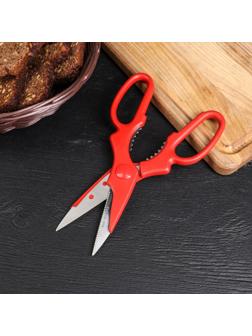 Ножницы кухонные Доляна «Вега», 20 см, цвет МИКС