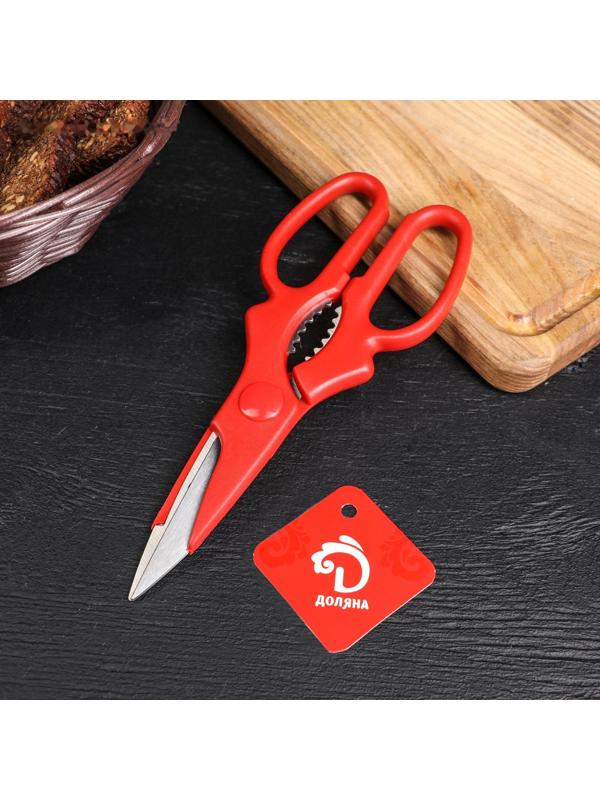 Ножницы кухонные Доляна «Вега», 20 см, цвет МИКС