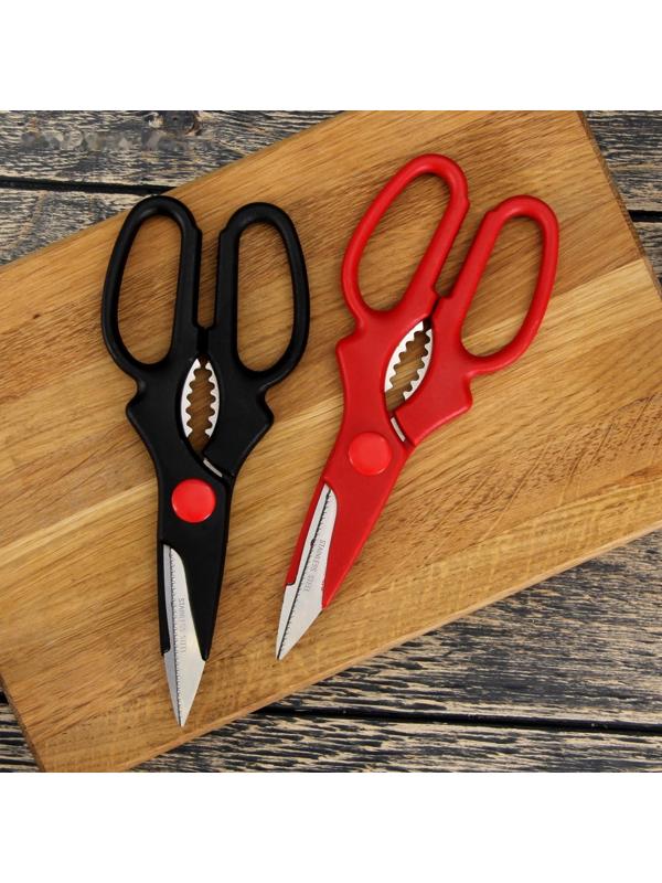 Ножницы кухонные Доляна «Вега», 20 см, цвет МИКС