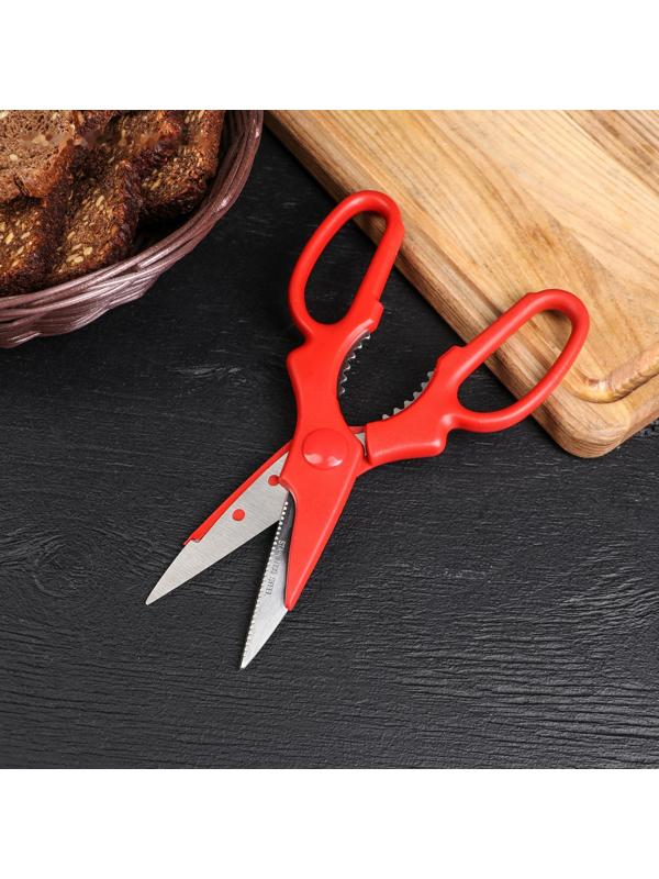 Ножницы кухонные Доляна «Вега», 20 см, цвет МИКС