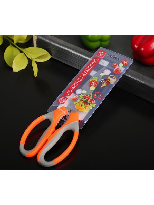 Ножницы кухонные Доляна «Драйв», 22 см, с открывалкой для бутылки, цвет МИКС