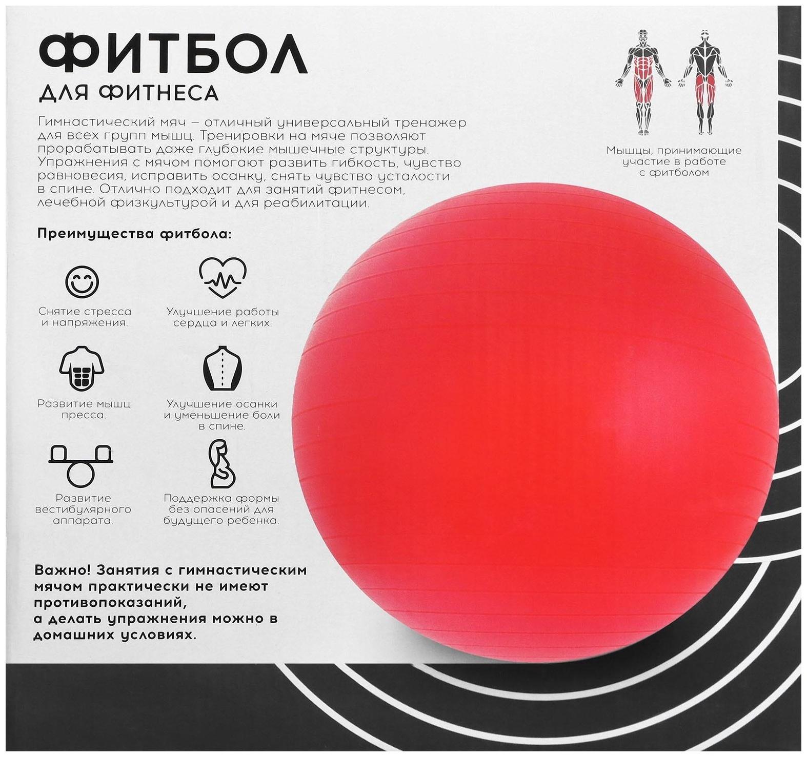 Фитбол ONLYTOP, d=55 см, 600 г, цвета микс