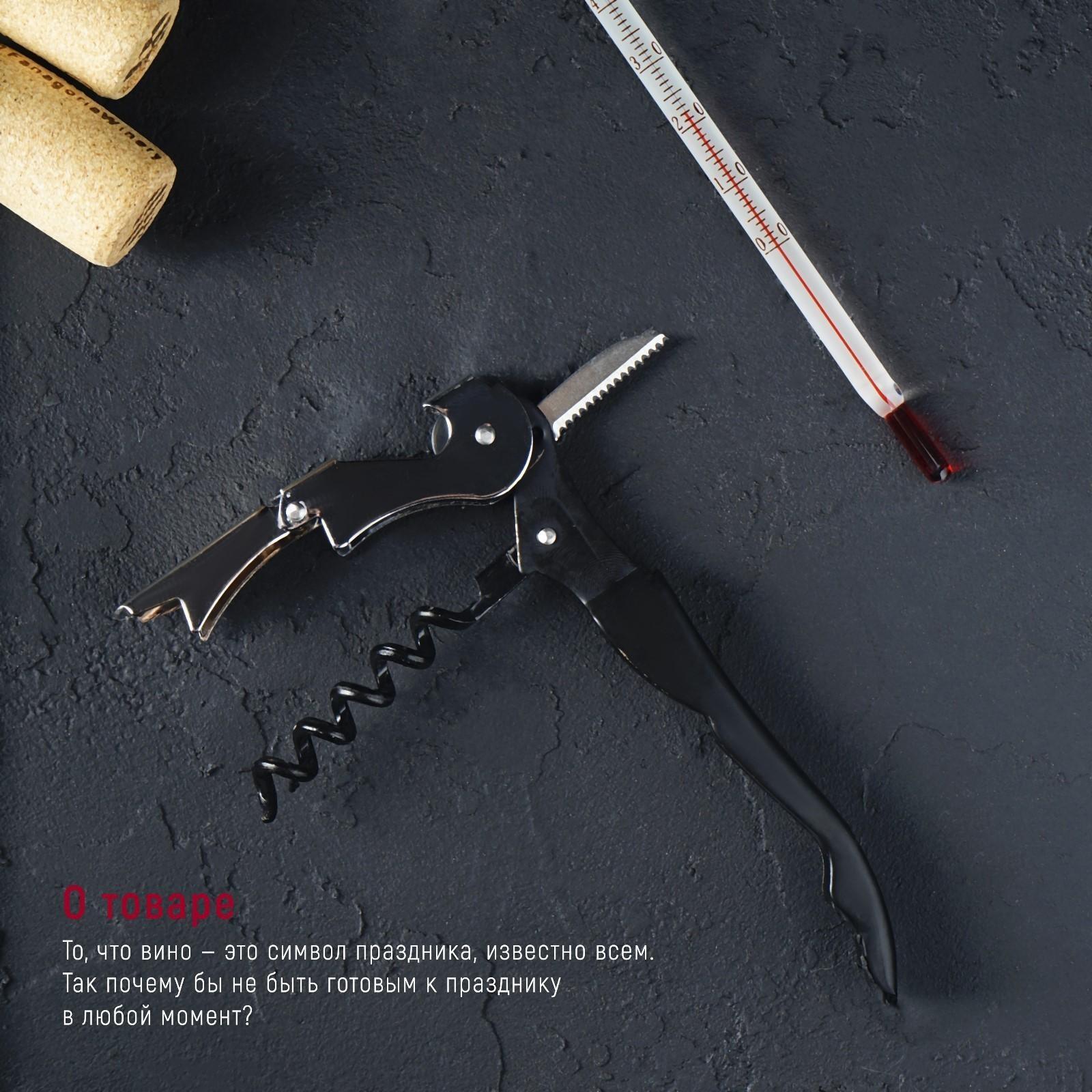 Набор для вина «Бургундия», 4 предмета: каплеуловитель, штопор, кольцо, термометр