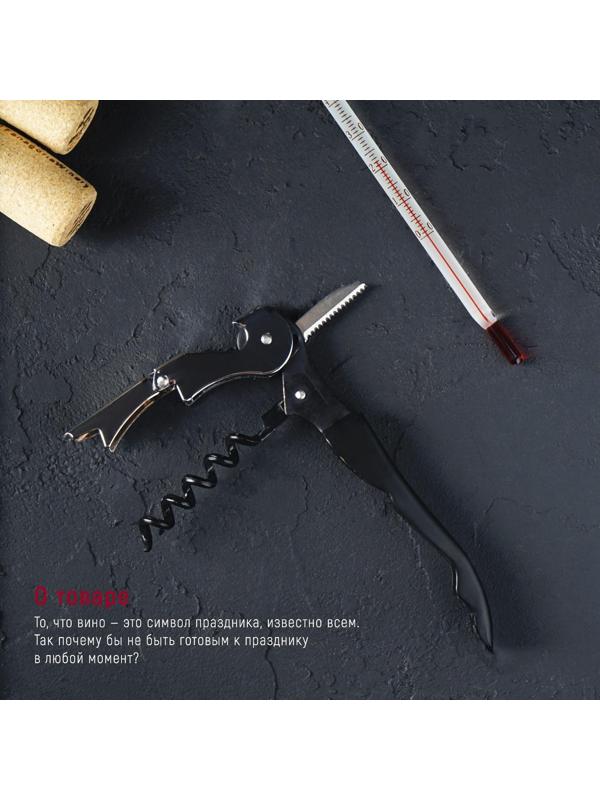 Набор для вина «Бургундия», 4 предмета: каплеуловитель, штопор, кольцо, термометр