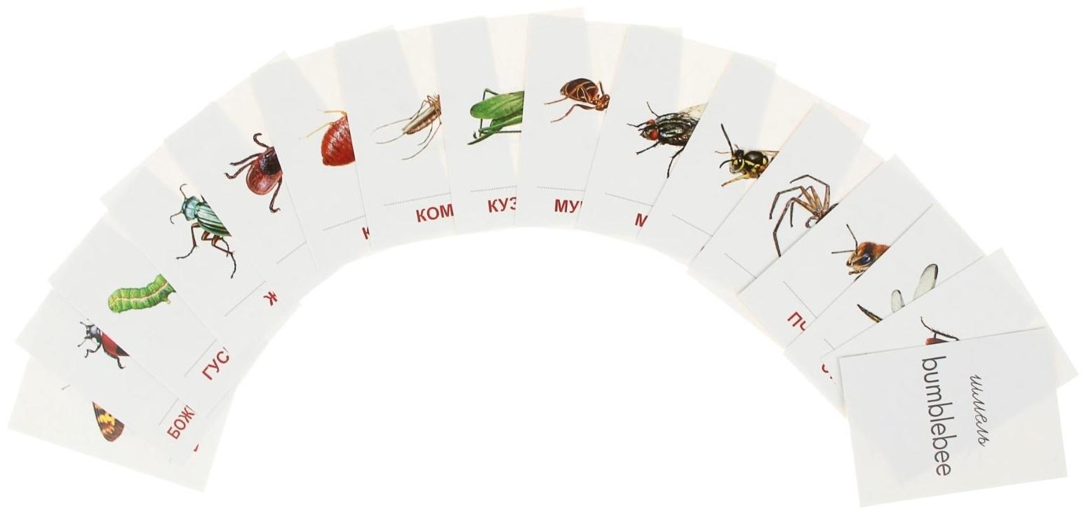 Карточки обучающие 