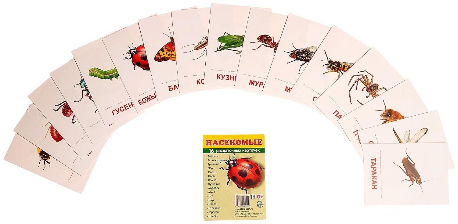 Карточки обучающие 
