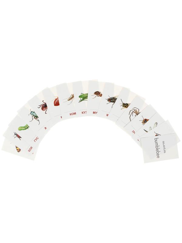 Карточки обучающие 