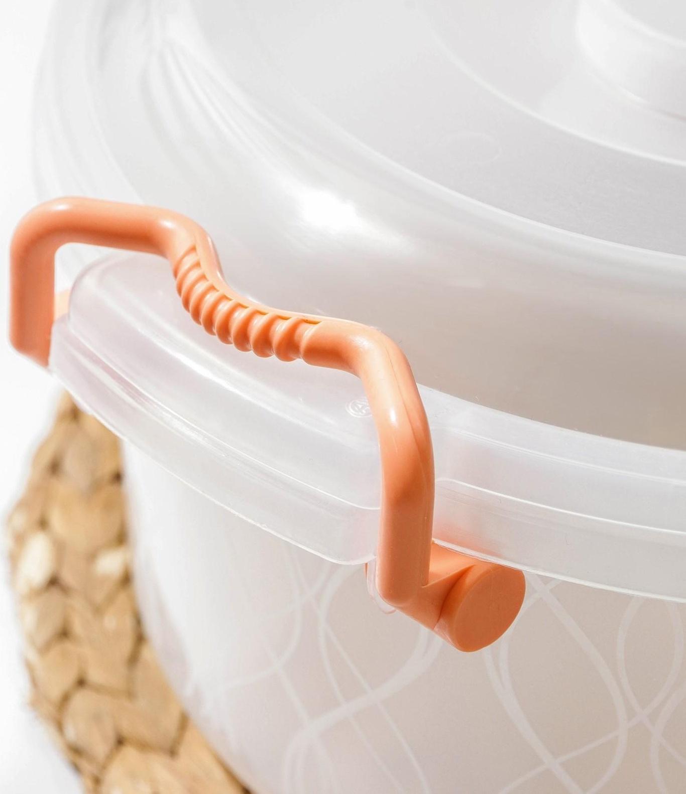 Контейнер пищевой, 5 л, цвет МИКС