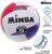 Мяч волейбольный Minsa, ПВХ, машинная сшивка, 18 панелей, размер 5