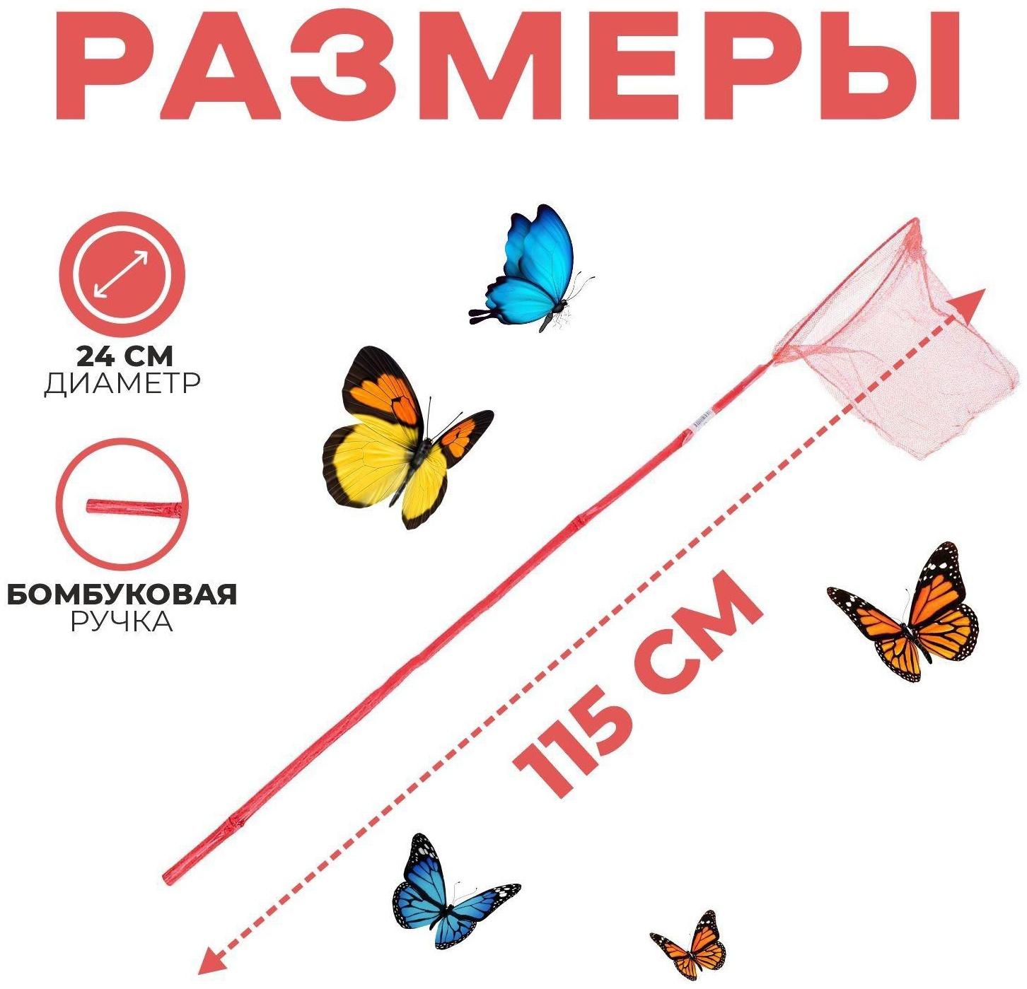 Сачок детский, бамбуковая ручка 115 см, d=24 см, цвета МИКС