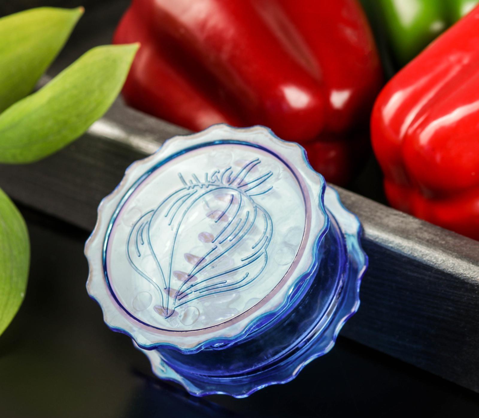 Измельчитель для чеснока Доляна «Хранитель», 8×3 см, цвет МИКС