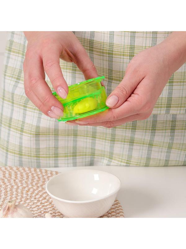 Измельчитель для чеснока Доляна «Хранитель», 8×3 см, цвет МИКС