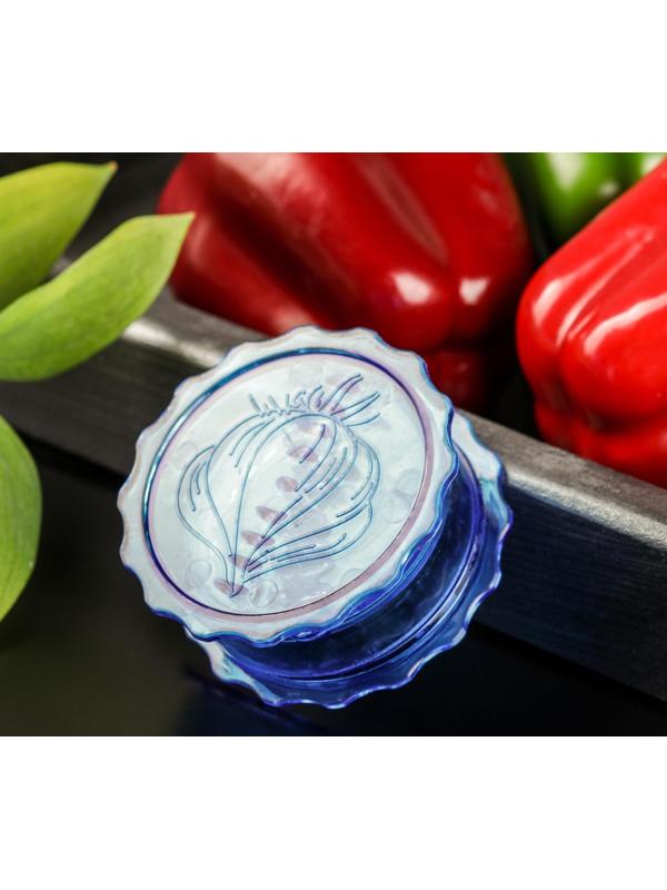 Измельчитель для чеснока Доляна «Хранитель», 8×3 см, цвет МИКС