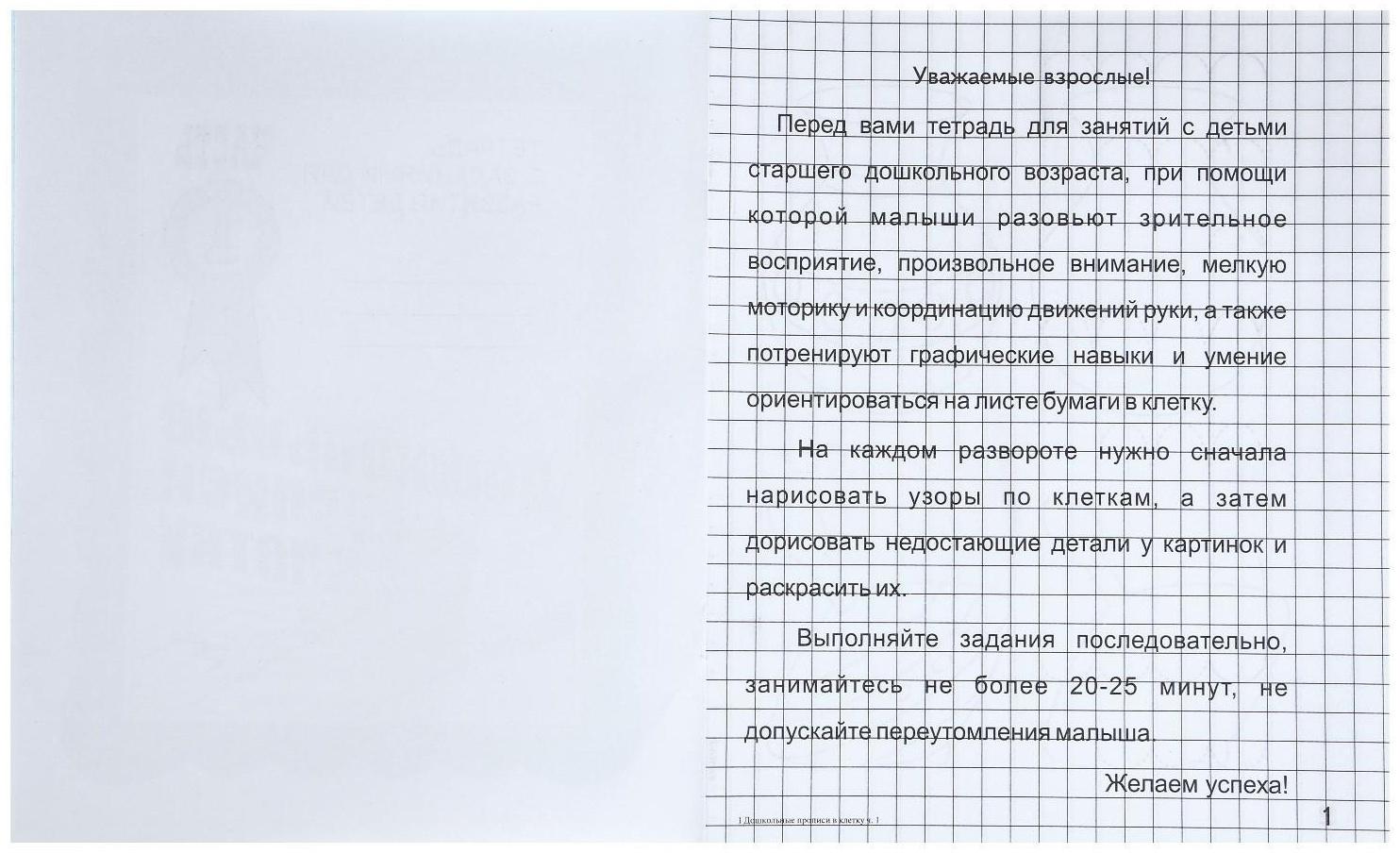 Рабочая тетрадь «Дошкольные прописи в клетку», часть1