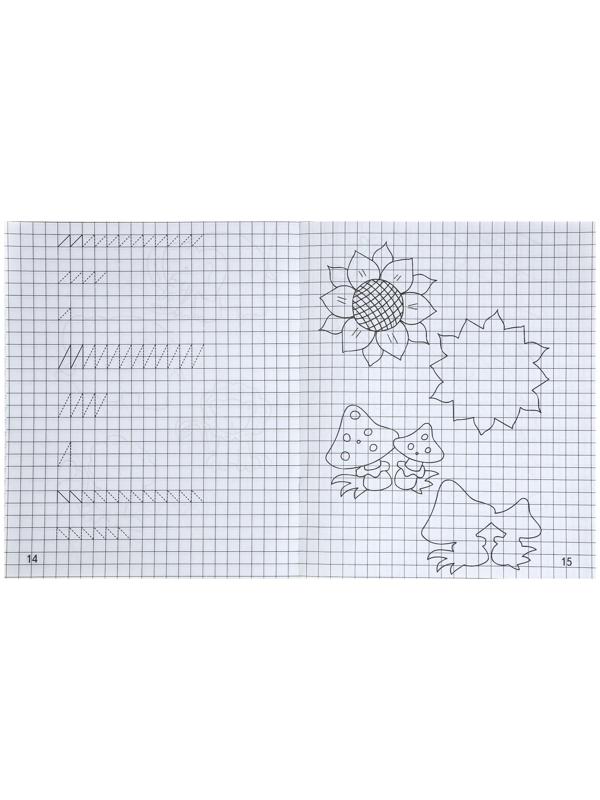 Рабочая тетрадь «Дошкольные прописи в клетку», часть1