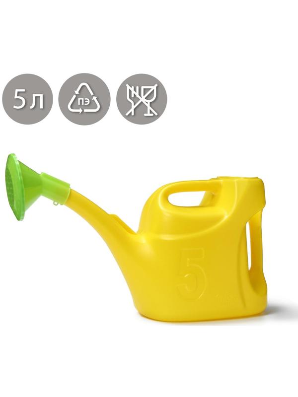 Лейка, 5 л, с рассеивателем, цвет МИКС
