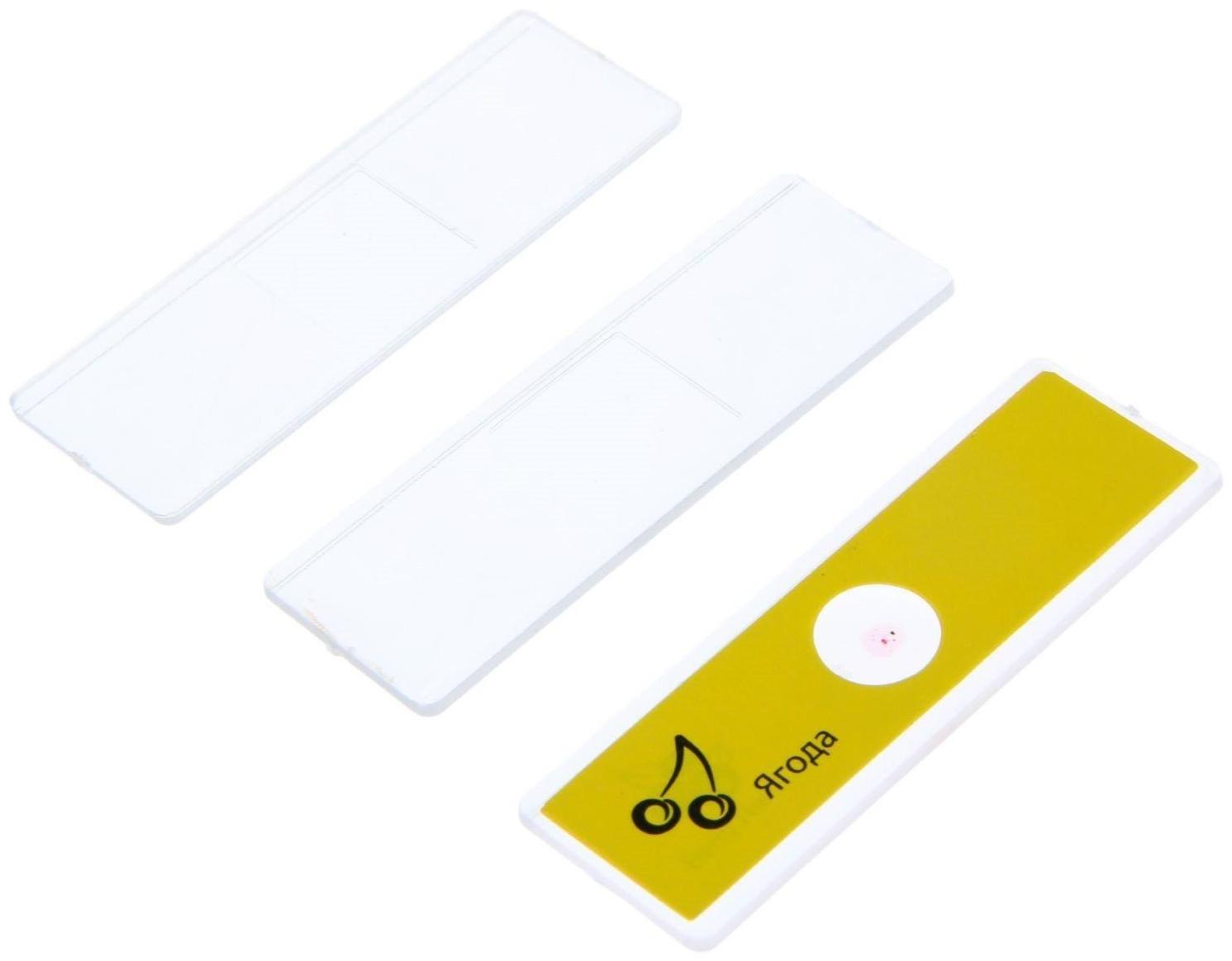 Набор биолога 6 предметов: микроскоп, 2 калейдоскопа, 2 пустых слайда, образец клеток