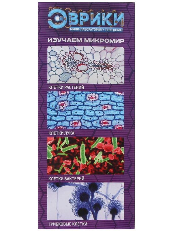 Набор биолога 6 предметов: микроскоп, 2 калейдоскопа, 2 пустых слайда, образец клеток