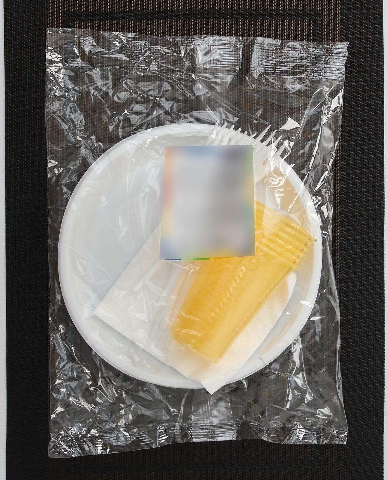 Набор одноразовой посуды на 6 персон «Пикничок», цвет МИКС