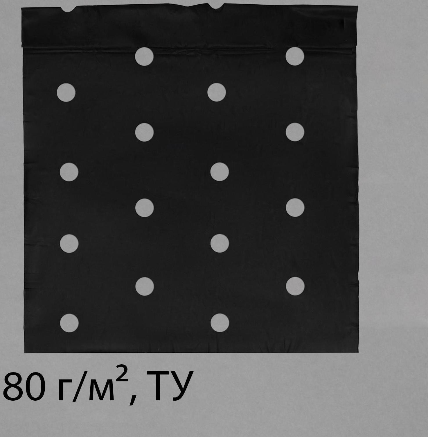 Материал мульчирующий, с перфорацией, 5 × 1,6 м, плотность 80 г/м², с УФ-стабилизатором, чёрный, Greengo, Эконом 20%