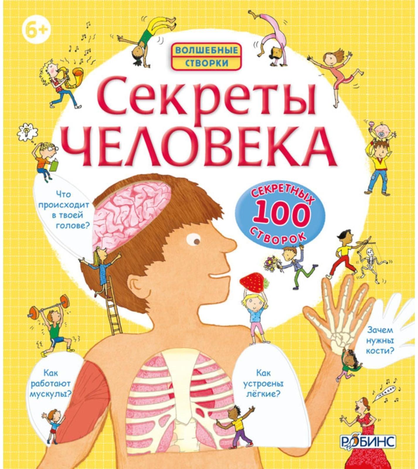 Волшебные створки «Секреты человека»