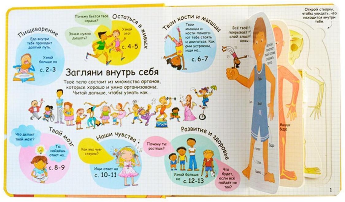 Волшебные створки «Секреты человека»