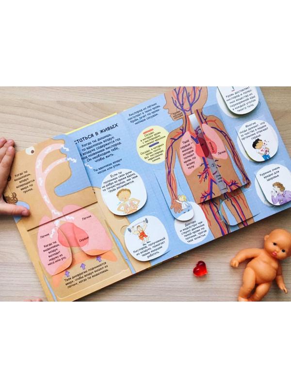 Волшебные створки «Секреты человека»