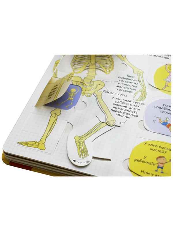 Волшебные створки «Секреты человека»