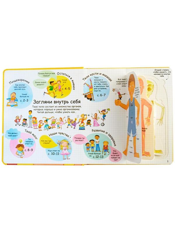 Волшебные створки «Секреты человека»