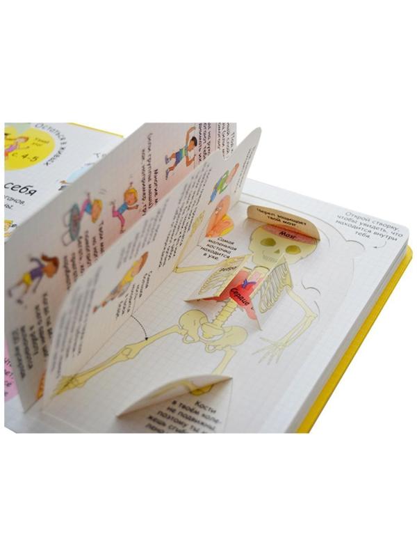 Волшебные створки «Секреты человека»