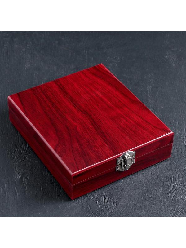 Набор для вина «Каберне», 5 предметов: пробка, штопор, кольцо, термометр, каплеуловитель