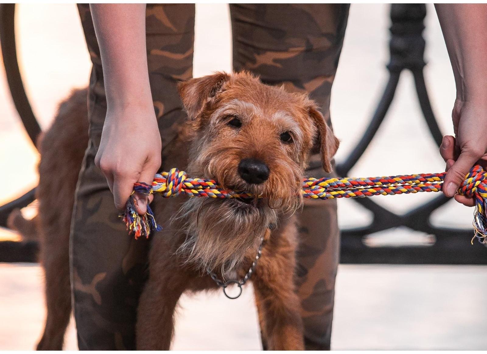 Игрушка тренировочная канатная 