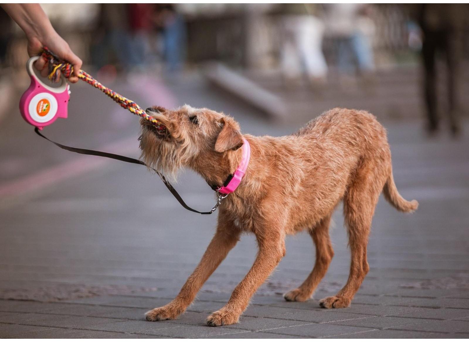 Игрушка тренировочная канатная 