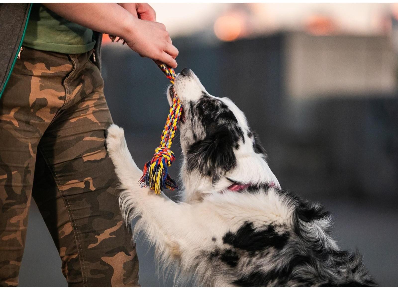 Игрушка тренировочная канатная 