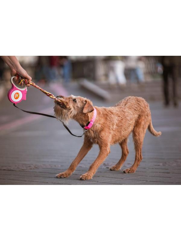 Игрушка тренировочная канатная 