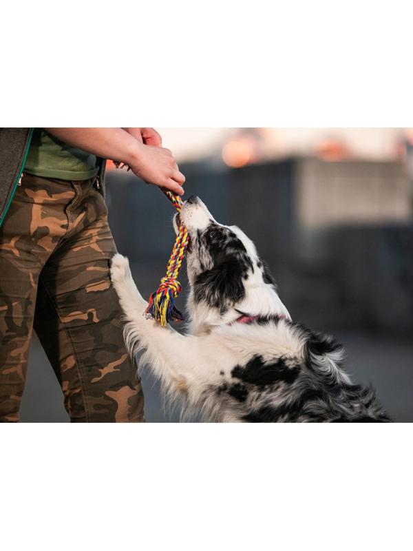 Игрушка тренировочная канатная 