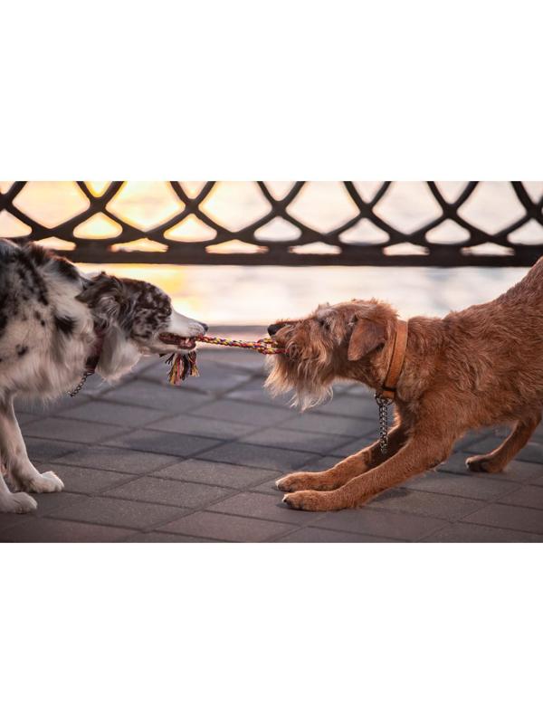 Игрушка тренировочная канатная 