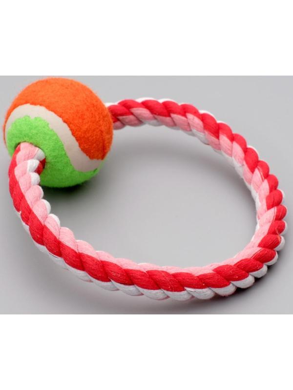 Игрушка тренировочная канатная 