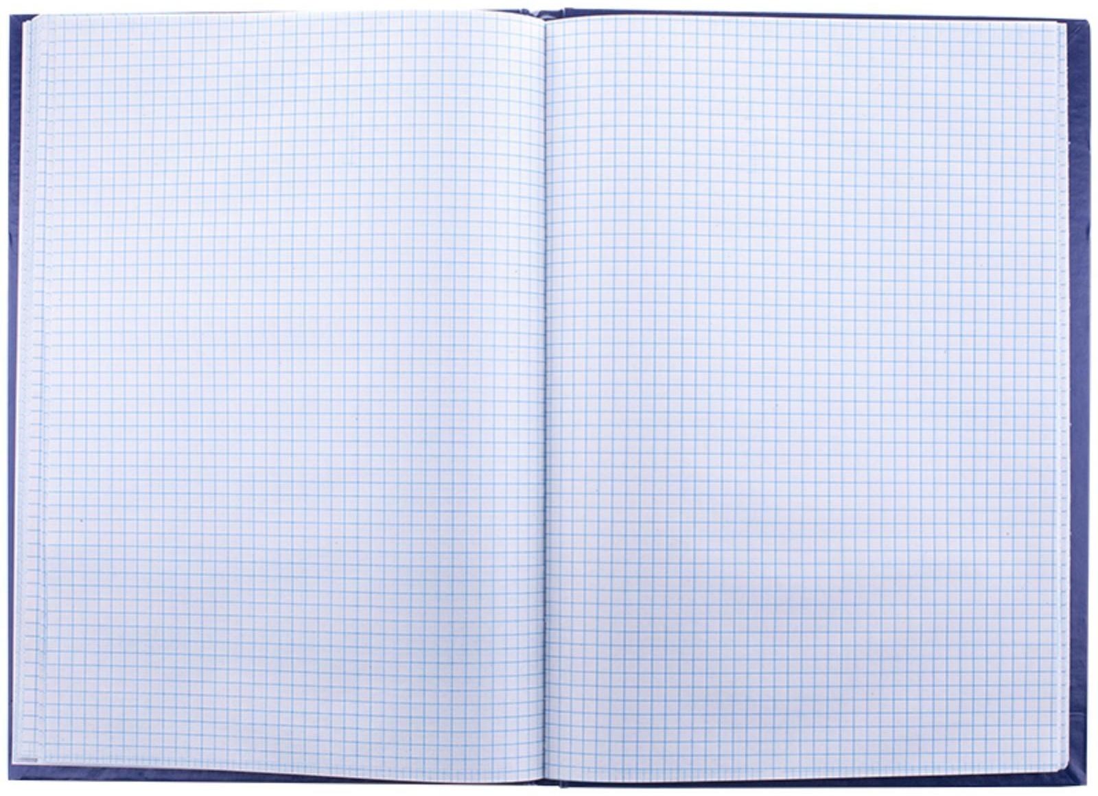 Книга учёта А4, 96 листов, в клетку, обложка бумвинил, газетный блок