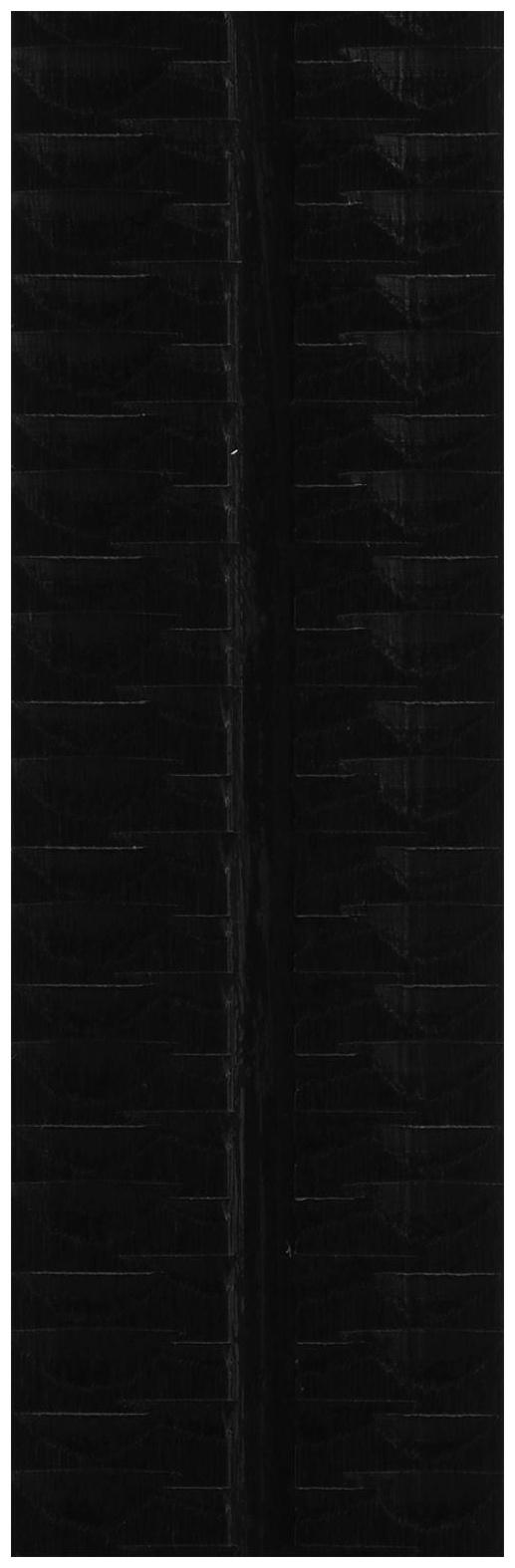 Комплект лыжный: пластиковые лыжи 195 см с насечкой, стеклопластиковые палки 155 см, крепления NNN «БРЕНД ЦСТ Step», цвета микс